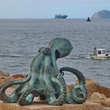 Octopus on the boardwalk Gran Carril Litoral  of Vigo